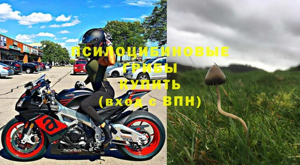 круглые Белокуриха