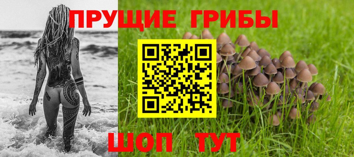 Псилоцибиновые грибы GOLDEN TEACHER Городец