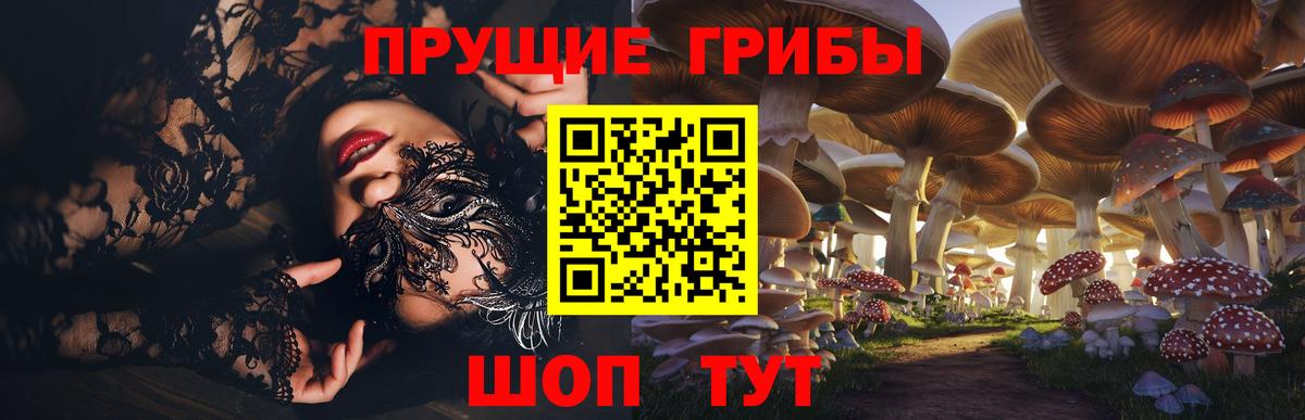 Городец  купить  цена  Вход с VPN  Галлюциногенные грибы Cubensis 